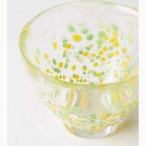 Anthropologie Set of 2 Bowls New